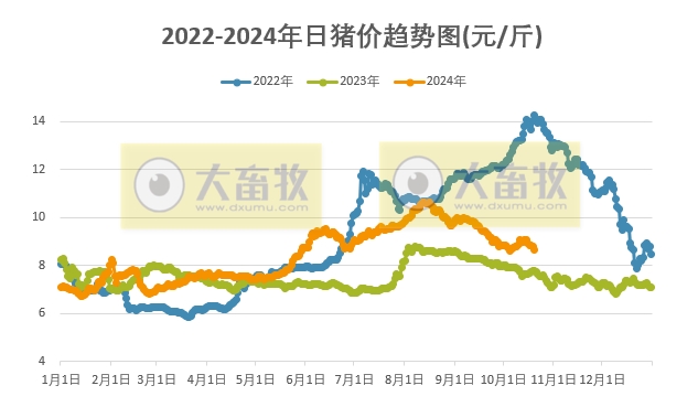 小猪价格今日动态，最新消息与市场影响因素分析