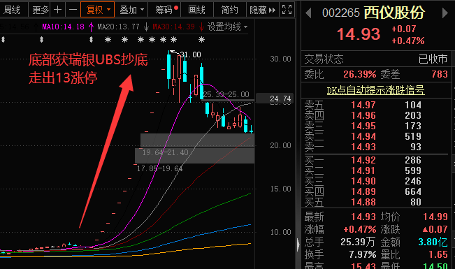 新开源股票动态，行业趋势展望与公司前景深度解析