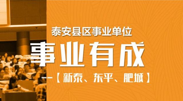 新泰招工网最新消息及行业趋势深度解析，招聘动态一网打尽